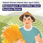 Bojonegoro Diprediksi Akan Surplus Beras di Bulan Maret dan April 2024