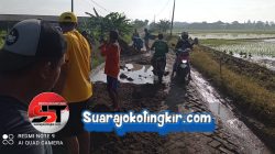 Lelah Menunggu Perbaikan Jalan ,Warga Dusun Kedungjati Berswadaya Perbaikan Jalan Yang Rusak