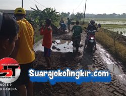 Lelah Menunggu Perbaikan Jalan ,Warga Dusun Kedungjati Berswadaya Perbaikan Jalan Yang Rusak